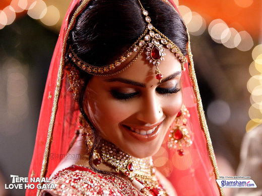 Tere Naal Love Ho Gaya desktop wallpaper.jpg