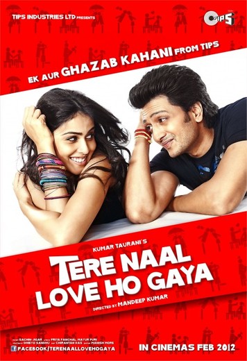 Tere Naal Love Ho Gaya Movie Poster.jpg